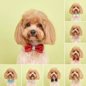 Ошейник с бантом и блестками для домашних животных, регулируемый легкий, милый, милый, кот, маленькая, средняя, собака, щенок, ожерелье, товары для домашних животных серебряный