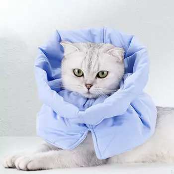 Ошейник с конусом для кошек сохраняет тепло, легкий чехол на шею котенка для щенка кролика и собаки S