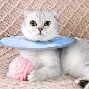 Ошейники для кошек елизаветинской эпохи, ошейники для заживления ран, регулируемые, с защитой от укусов и облизывания M зелёный