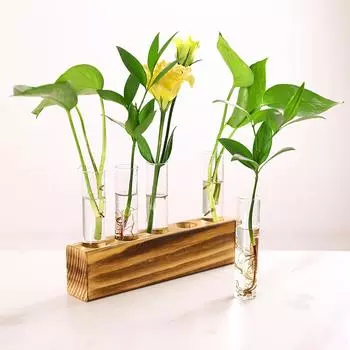 Основание из цельного дерева, гидропонная пробирка, цветы, растения, гидропонный плантатор, 5 шт., пробирка, деревянная ваза
