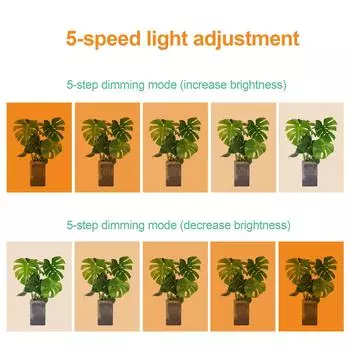 Освещение Светодиодный светильник для выращивания растений Внутренний квантовый светильник для растений Подвесной светильник для растений 12 В 1 head&UK Plug