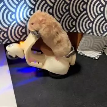 Освещение трюков электрическое вращающееся на 360 градусов игрушка хомяк мотоцикл скутер товары для животных синий