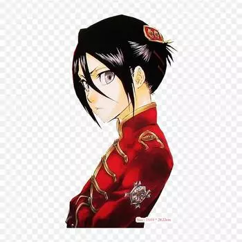 Отбеливатель Ичиго Куросаки Рукия Кучики аниме Лрон на нашивки для сумки для одежды футболка термопереносные наклейки полосы аппликации