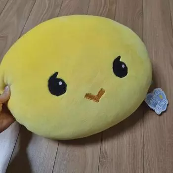 Открытие блестящей подушки Тэмин Тамари