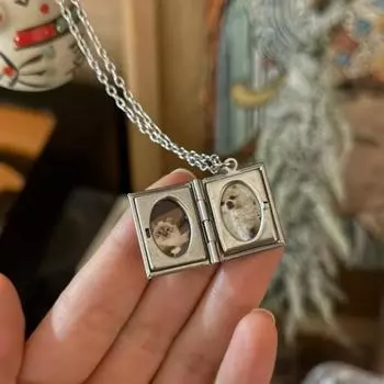 Открытие и закрытие ожерелья в виде щенячьей лапки, ювелирная книга, медальон, кулон, ожерелье, сувенир