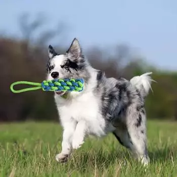 Открытый банджи-буксир, игрушка, подвесная игрушка на дереве с регулируемой веревкой, игра в перетягивание каната, игрушка для домашних животных