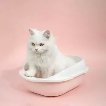 Открытый кошачий туалет с защитой от брызг single cat litter box серый