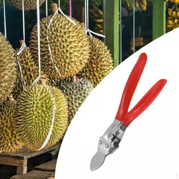 Открывалка для дурианов из нержавеющей стали для легкого удаления кожуры с фруктов PP bag