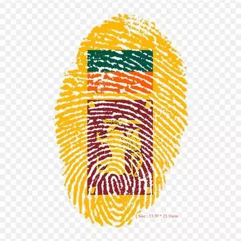 Отпечаток пальца Флаг Китая Флаг Университета Утюг на теплопередаче Печать Виниловые нашивки Наклейка для одежды DIY Аппликации Моющиеся нашивки