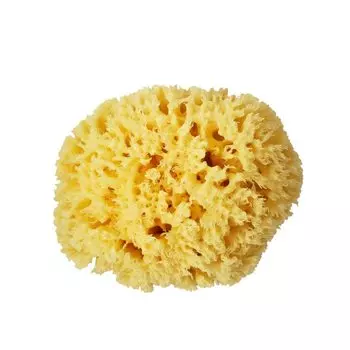 OTS Japan Natural Sponge Губка для тела (Сотовый вид/Полный 14см-16см)