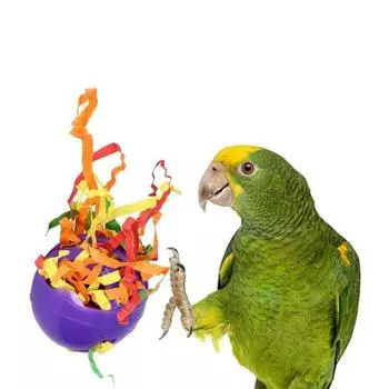 Out Bite resistant Parrot Training Toys Bird Cage Toys Bird Foot Rolling Ball Parrot Playing Toy random color