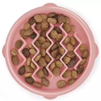 Outward Hound Fan Slow Feeder Bowl PTOW69754 Pink XS Size &