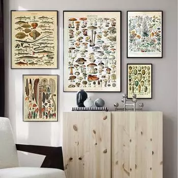 Овощи, фрукты, грибы, животные, Ретро постер, ботаническая картина, научные принты на холсте, декор для домашнего бара, кафе, художественная настенная живопись 20x30cm