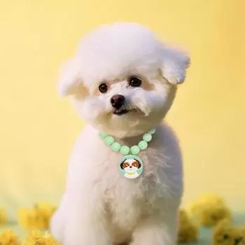 Ожерелье для домашних животных Ошейник из бисера Аксессуары для маленьких собак Невыцветающий искусственный жемчуг Регулируемые украшения для домашних животных на каждый день Фотографии Прогулки S зелёный