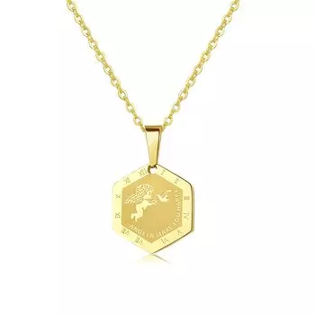 Ожерелье из хирургической нержавеющей стали 316L с монетой Angel Gold [Lucliss]