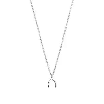 Ожерелье с костью желаний, женское, легкое, роскошное, нишевое, Ins, холодный ветер, нержавеющая сталь, ключичная цепочка, простое, темпераментное, студенческое ожерелье