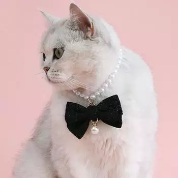 Ожерелье с жемчужным воротником для кошек и подвеской-бантом, симпатичные украшения, ошейник для щенков, регулируемое свадебное ожерелье для кошек, аксессуары для костюмов домашних животных XS (15-22cm) белый