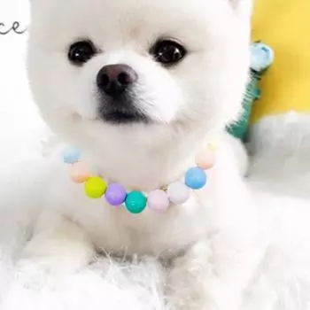 Ожерелье в виде кошки. Привлекательные легкие пластиковые разноцветные бусины. Ошейник для кошки. M разноцветный