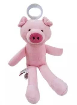 Pacifriends Pacifriends Соска-свинка (PACF005)
