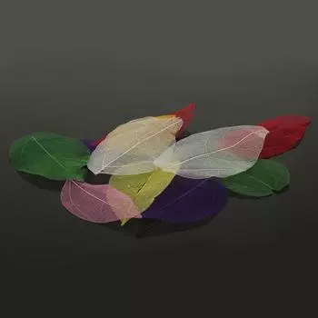 Упаковка из 10 скелетных листьев для самостоятельного изготовления открыток, скрапбукинга, закладок, украшений