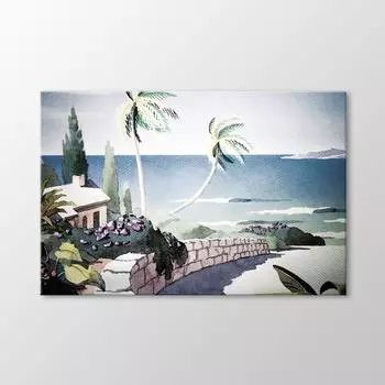 Пальмовый Домик