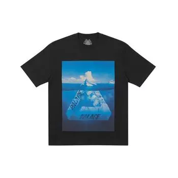 Palace Футболка Berg-Ferg черная унисекс уличная P21TS180 XL