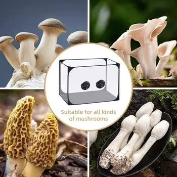 Палатка для выращивания грибов с двумя перчатками. Прозрачные станции размножения для энтузиастов микробиологии. чёрный