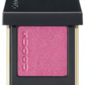 ПАЛЕТКА ТЕНЕЙ SUQQU Tone Touch Eyes 10 RYOUKA (1.5г)