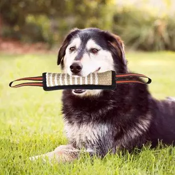 Палка для дрессировки собак, многофункциональная светоотражающая интерактивная игрушка для собак, устойчивая к разрыву игрушка для дрессировки домашних животных, товары для домашних животных чёрный