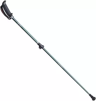 Палка для ходьбы Kizaki Хаки APAI7H202 APAI-7H202 (КХК)