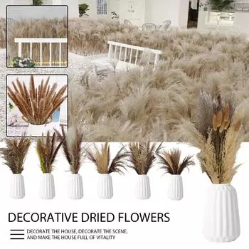 Пампасная трава 60 см. Натуральные сушеные цветы. Декоративные сухоцветы. Искусственные цветы. K разноцветный