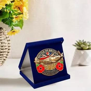 Памятный знак «Битва за Британию» 1940-2024 гг. «Битва за Британию, никогда не забудь», коллекция монет, медаль из сплава, солдатский подарок на память B