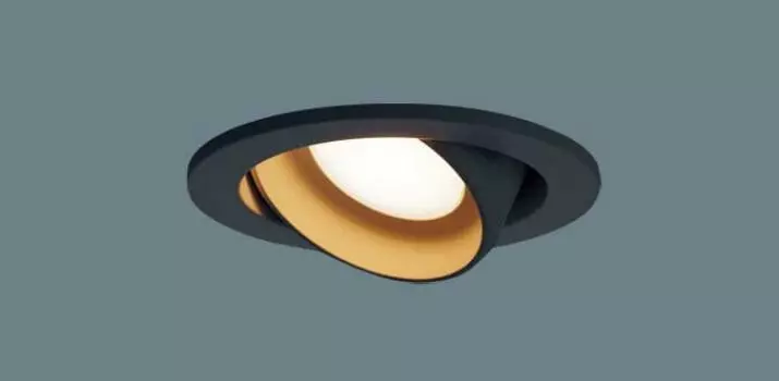 Panasonic Universal Downlight Bulb 100 Shape Black LGD3403LLB1 Color/Diffusion Mild/Dimmer/100