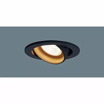 Panasonic Universal Downlight Bulb 60 Shape Black LGD1423LLE1 Color/Concentrating/100