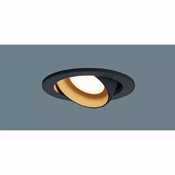 Panasonic Universal Downlight Light Bulb 60 Shape Black LGD1403LLE1 Color/Mild Diffusion/100