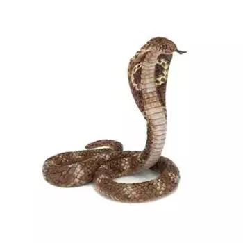 Papaw King Cobra Animal Figure, 1 Piece, popular toys in Korea