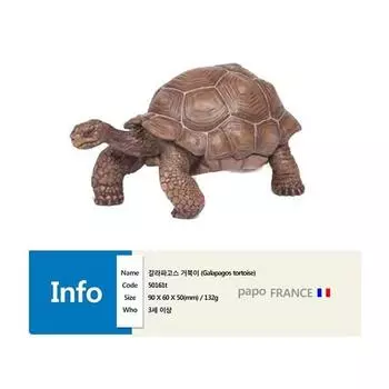 Papo Animals Galapagos tortoise figure, 1 piece, popular toys in Korea