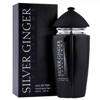 Парфюм Silver Ginger Long Lasting 100 мл Мужские духи, Водные, Свежие и Древесные, Успокаивающий Аромат 100 ML