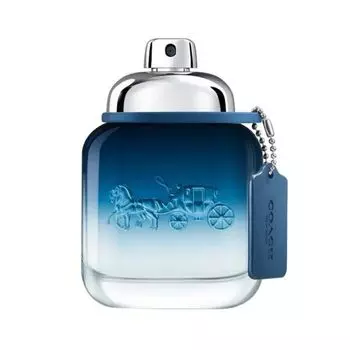 Парфюмерная вода Coach Blue For Men, парфюмерная вода-спрей, 100 мл