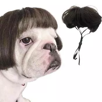 Парик для домашних животных Парик для собак Зоотовары Хэллоуин Украшения для домашних животных Кудрявый парик для кошек коричневый