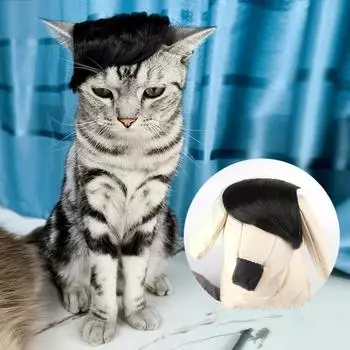 Парик для питомца, забавный кошачий парик, шляпа, нарядный головной убор, косплей, аксессуары для волос, украшения для Хэллоуина, мероприятия, фотографии на открытом воздухе чёрный