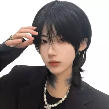 Парик PEACOCO Короткий парик Одежда Блондинка Парик Волк Черные волосы Косплей Каштановые седые волосы Незаметный Натуральный черный Мужской Мужской Мужской