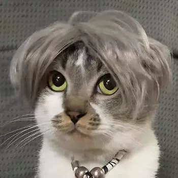 Парики для домашних животных, реквизит для ролевых игр, забавные собаки и кошки, шапки для переодевания, костюмы, товары для животных, аксессуары для головы коричневый