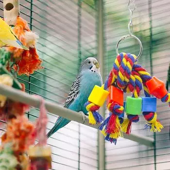 Parrot Chew Toy Bird Perch Leather Colorful Building Block Cotton Rope Big Swing for Pet Bird China