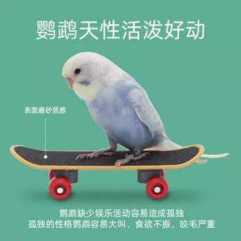 Parrot Mini Scooter Birds Swing Training Skateboard Pet Interactive Toys Claw Grinding Toy Bird Supplies Accessories