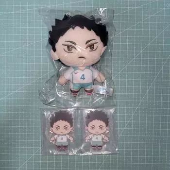 Партия) Хайкю Иваизуми Сегакудзи Сестра и акрил