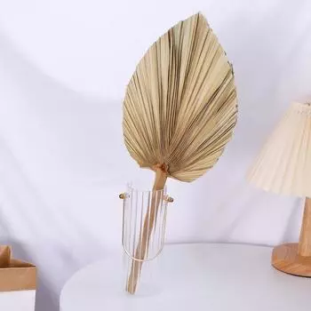 Party Office Bohemian Boho Trimmed Natural Leaves Palm Spears Fan Leaf Dried Plant