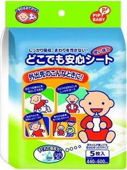 Паспорт безопасности PIPBABY Anywhere