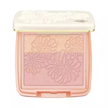 PAUL JOE 01 Scredor 5g & BEAUTE/Presto Blush/Refill / /