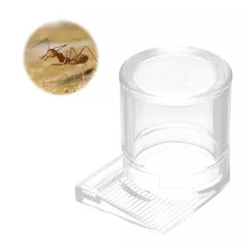 PAVIKE Поилка для домашних животных Поилка для муравьев Кормушка для рептилий Поилка для сверчков Кормушка для муравьев Прозрачная Приманка для насекомых Аксессуары для фермы для муравьев Муравьи